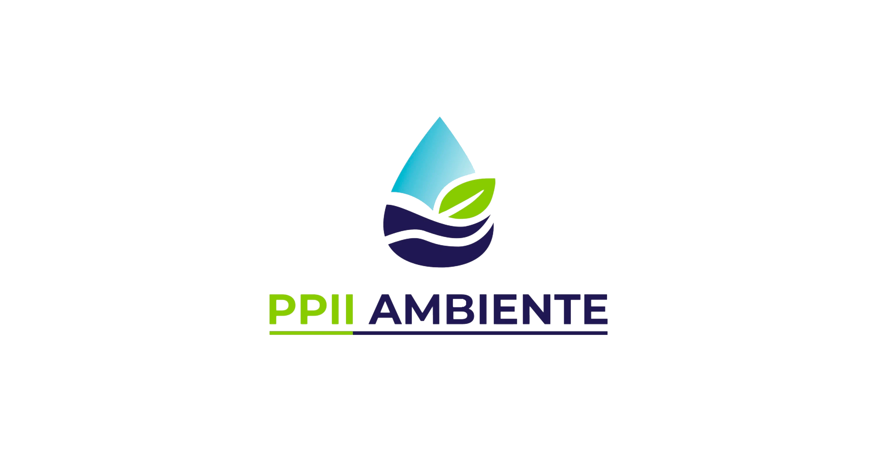 pp2-ambiente